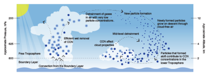 cloud condensation nuclei